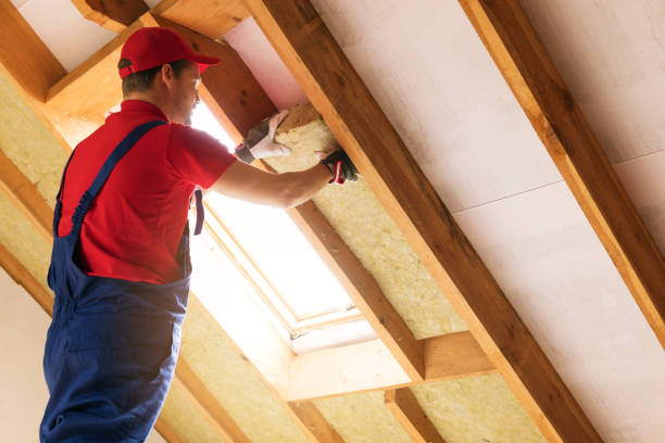 Best Eco-Friendly or Green Insulation Solutions  in Caway, AR